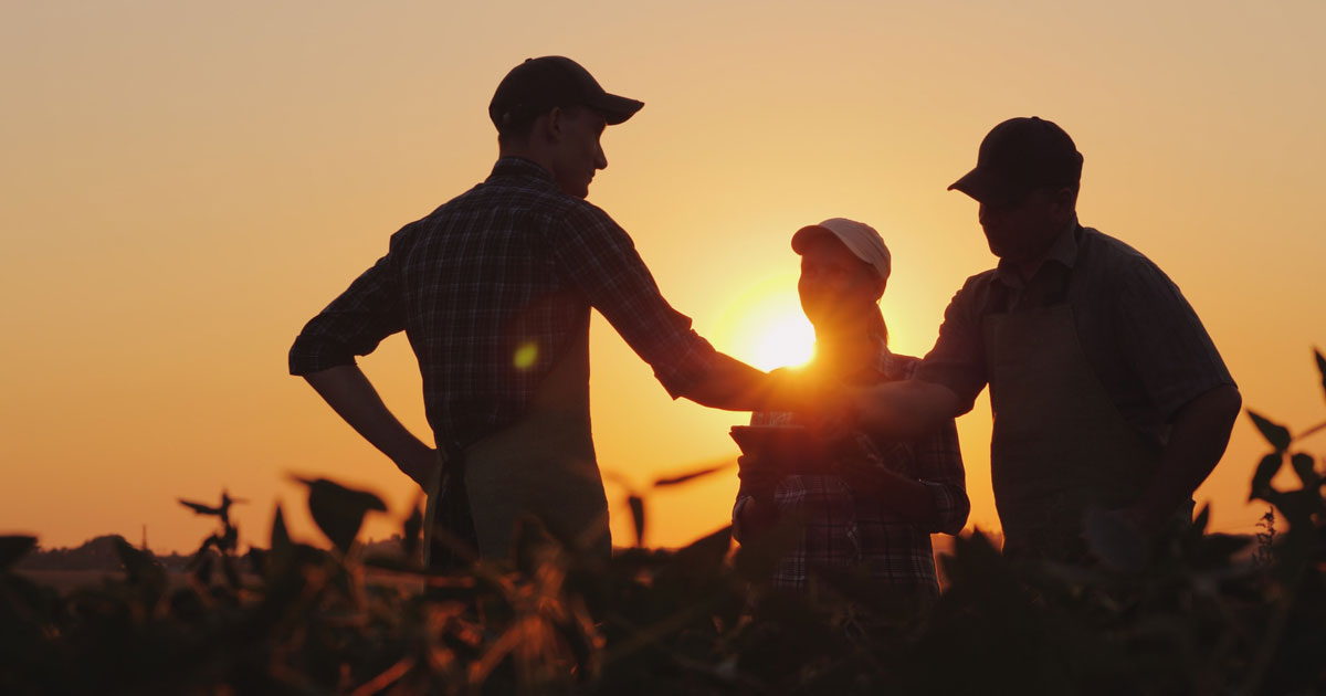 A coordinated veteran support program